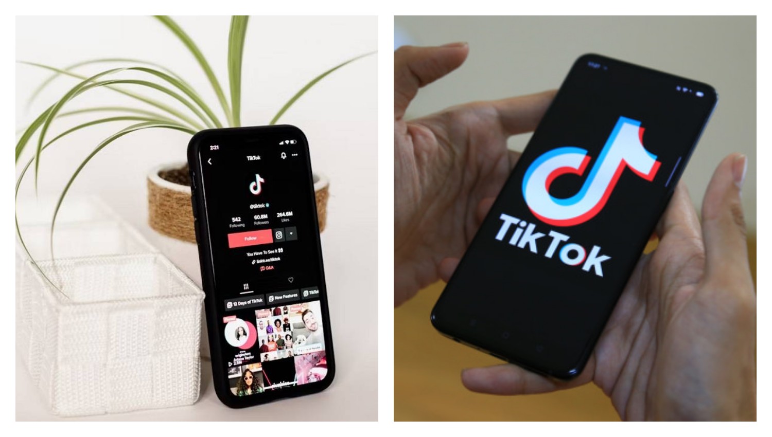 Maksimalkan Bisnismu dengan Product Showcase TikTok, Panduan Berjualan Lebih Mudah