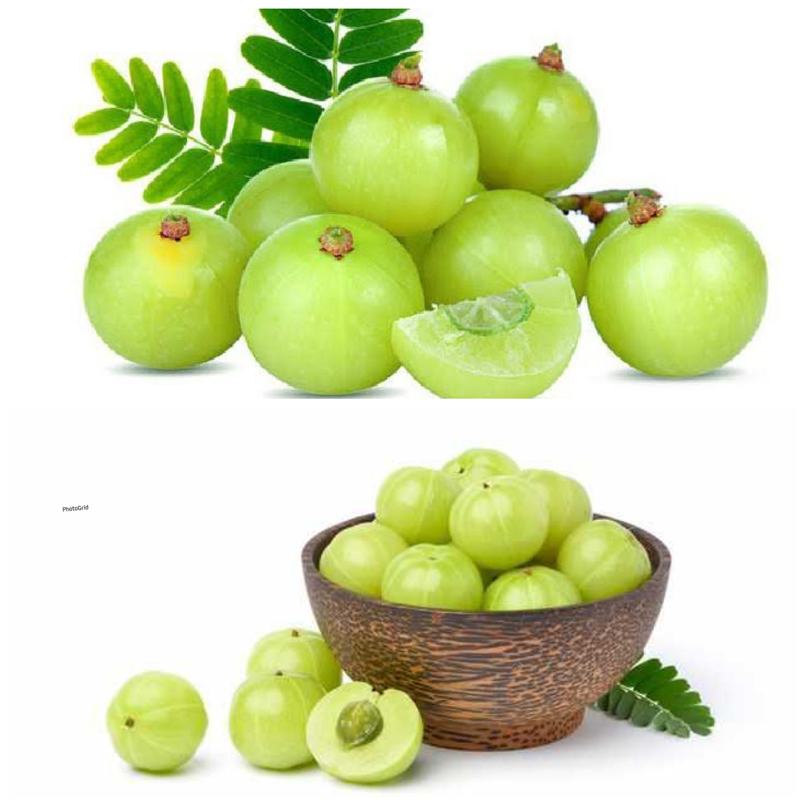 Buah Malaka: Si Kecil Kaya Manfaat dengan Segudang Khasiat bagi Kesehatan!