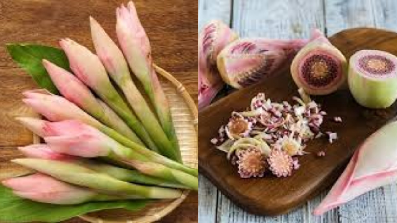 Manfaat Kecombrang Untuk Kesehatan Tubuh: Rahasia Hidup Lebih Sehat