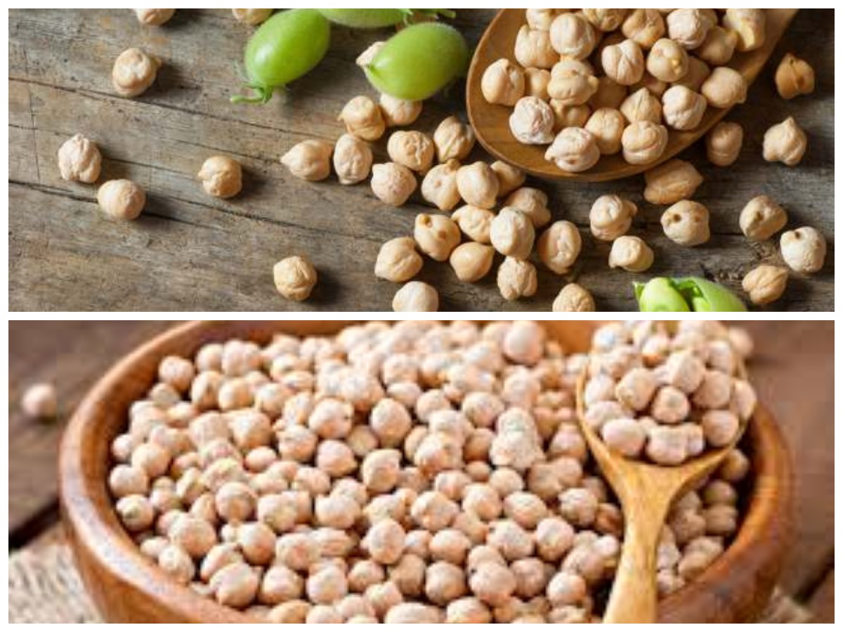 Kacang Arab, Sumber Nutrisi Super untuk Jantung Sehat dan Tubuh Bugar