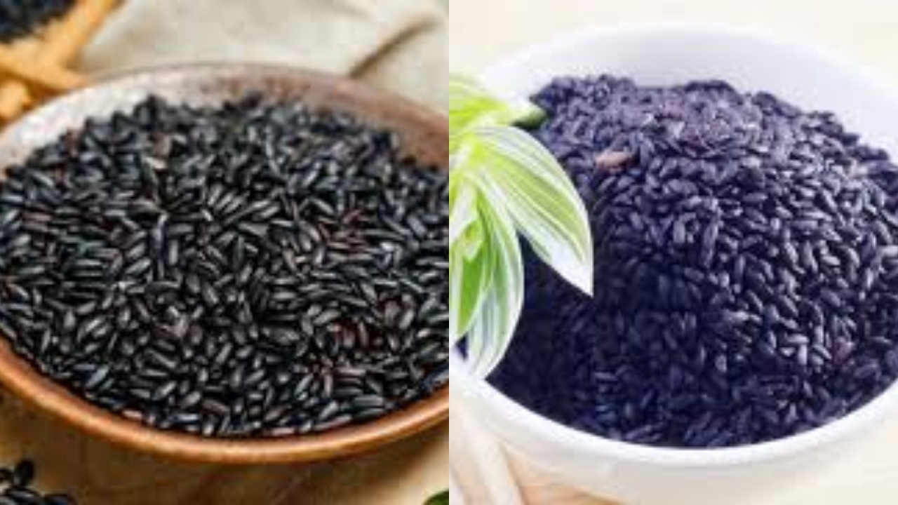 7 Manfaat Ketan Hitam dan Efek Samping yang Harus Kalian waspadai