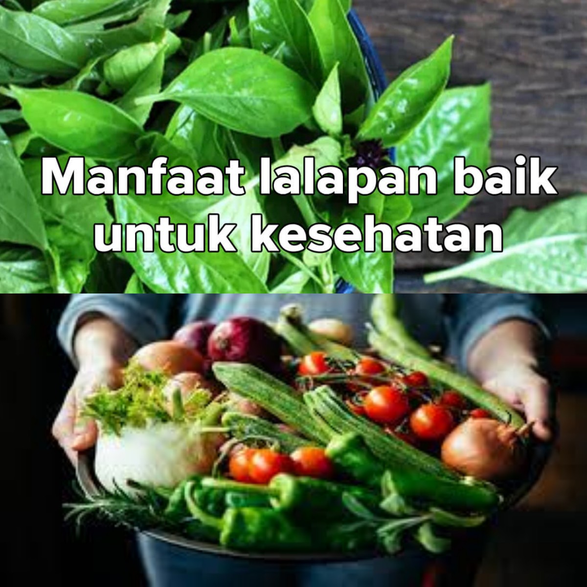 Lalapan Sayur Segar Bisa Memperkuat Kekebalan Tubuh? Ini 5 Manfaatnya!