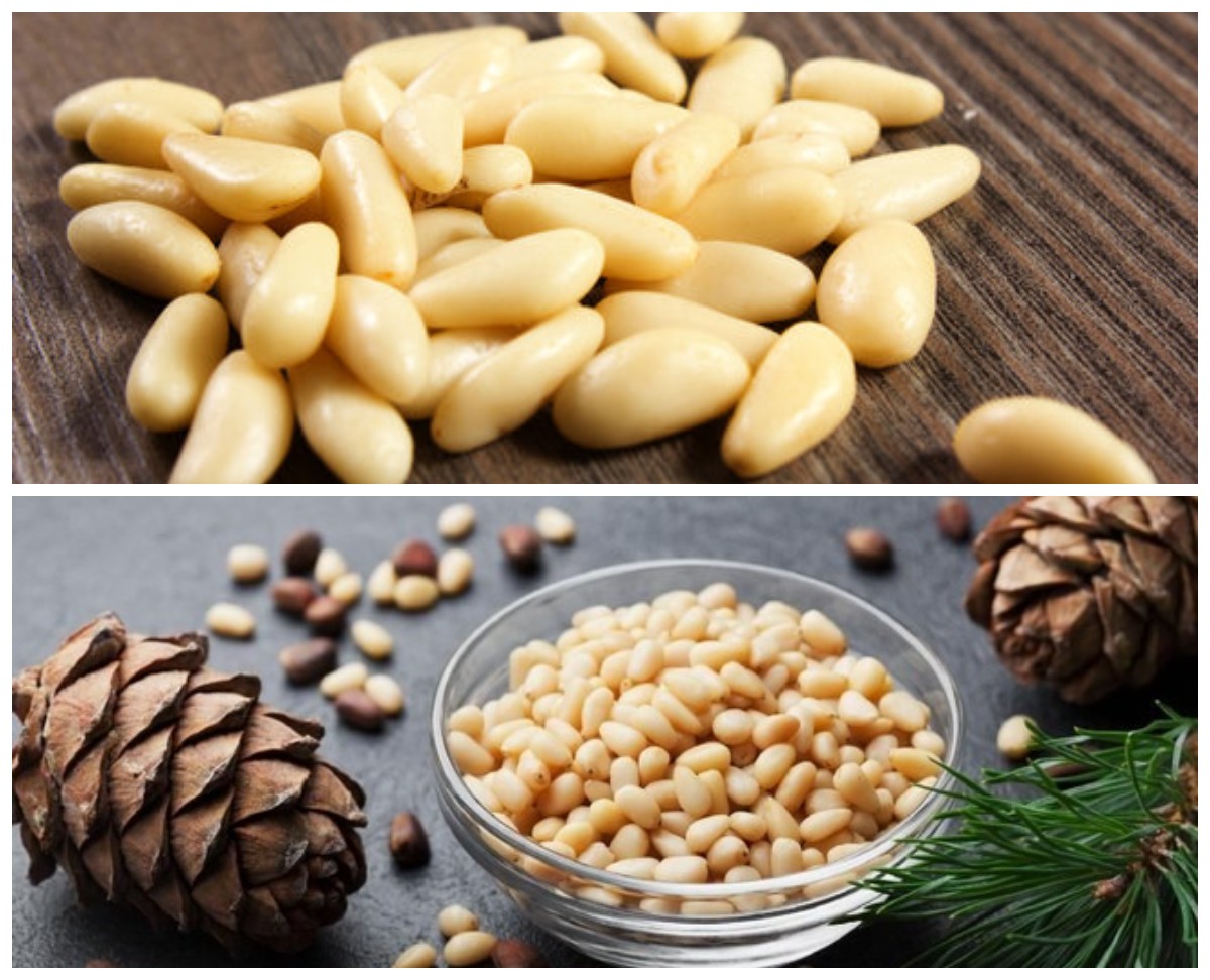 Pertahankan Berat Badan Ideal! Ini Manfaat Tak Terduga dari Kacang Pinus untuk Kesehatan