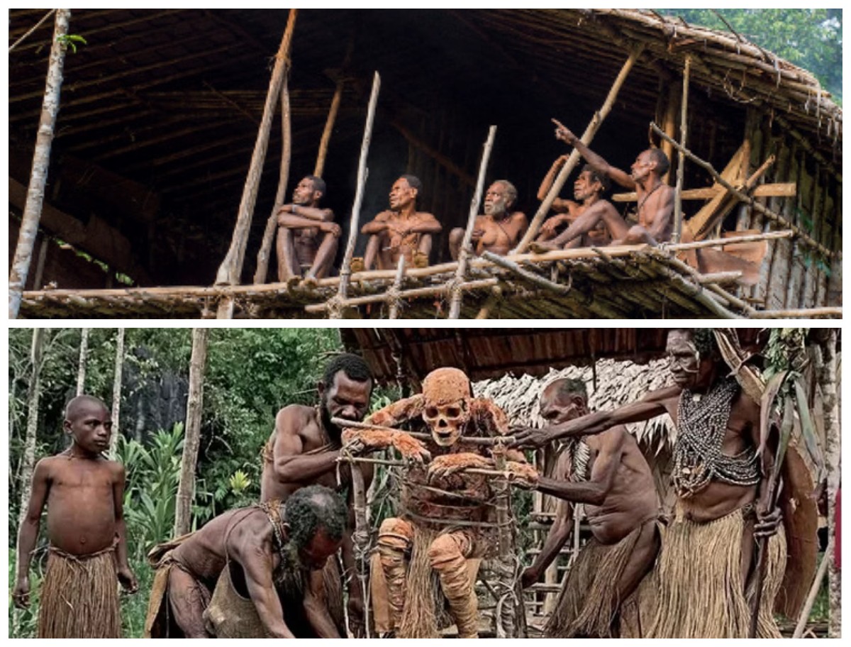 Sejarah Suku Korowai: Kehidupan Rumah Pohon dan Kearifan Leluhur di Pedalaman Papua!