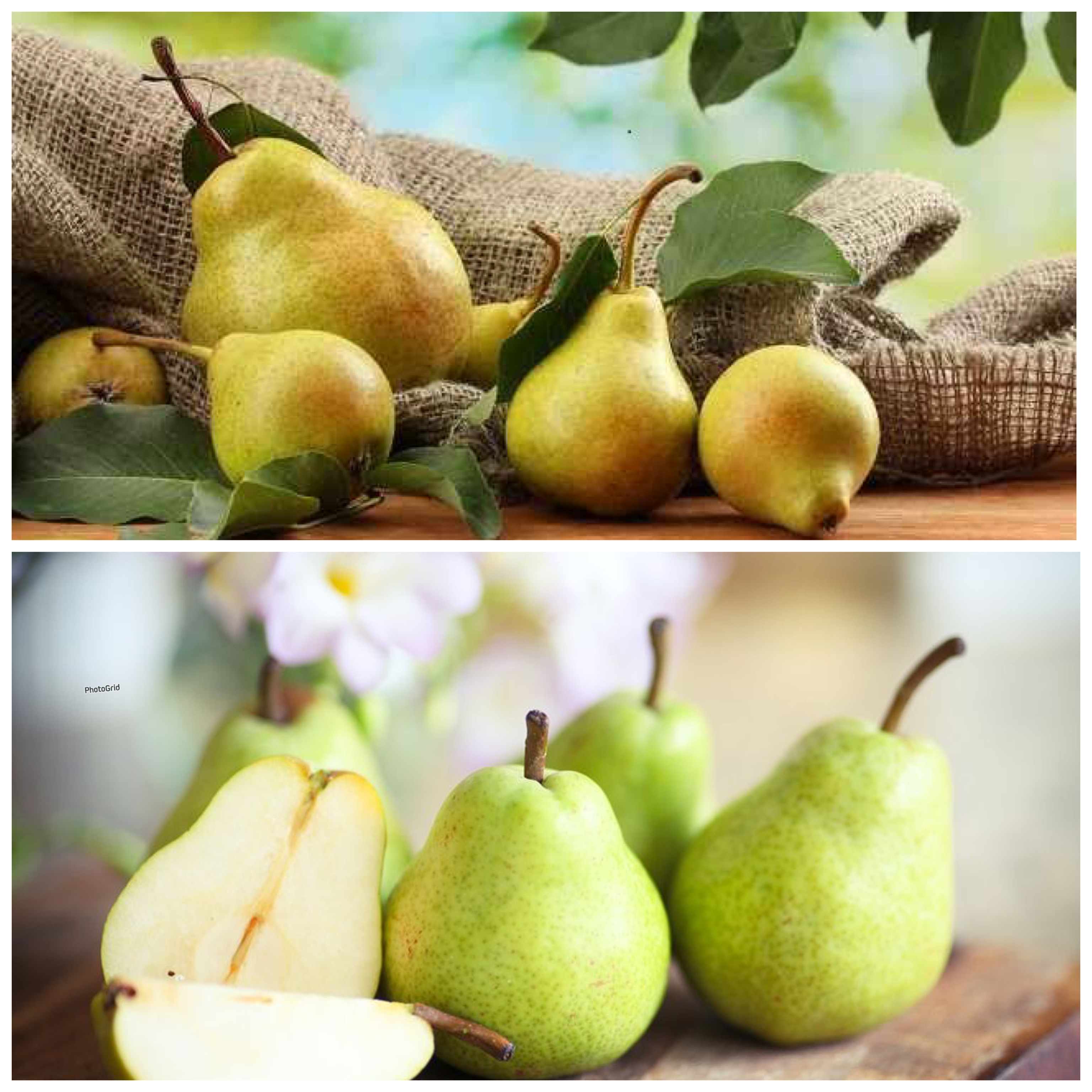 Manfaat Buah Pir bagi Kesehatan Tubuh yang Jarang Diketahui!