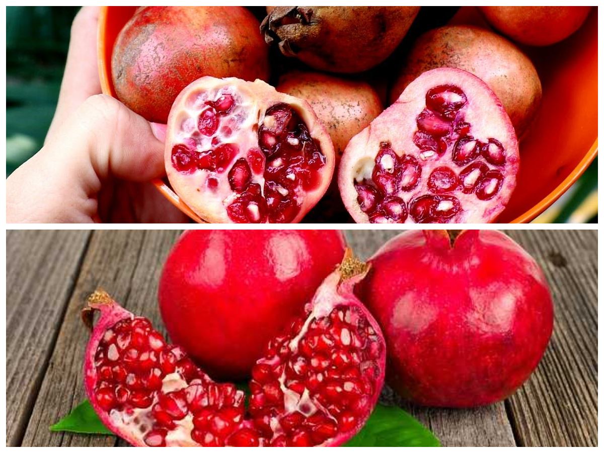 Kaya Antioksidan! Ini Deretan Manfaat Buah Delima yang Sayang untuk Dilewatkan