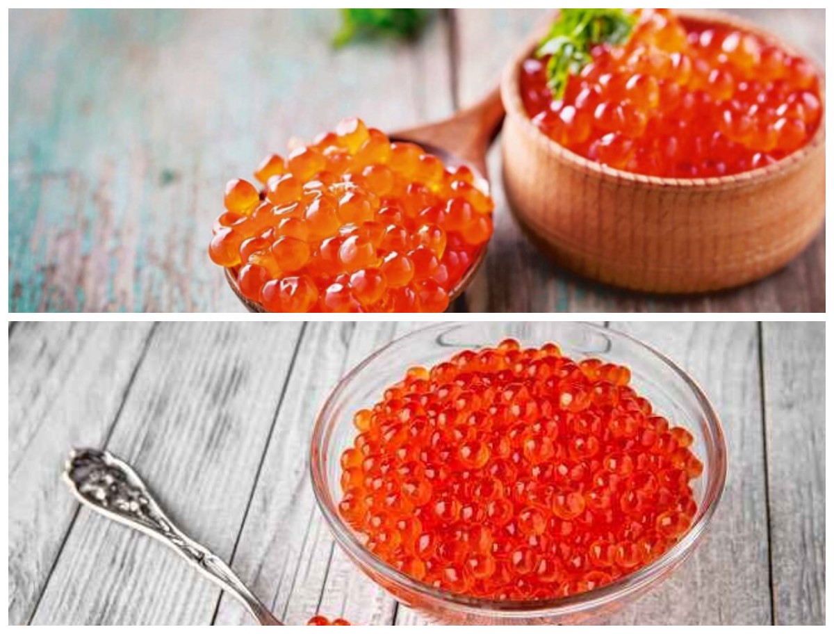 Manfaat Telur Ikan untuk Kesehatan: Sumber Gizi Laut yang Kaya Nutrisi dan Khasiat!