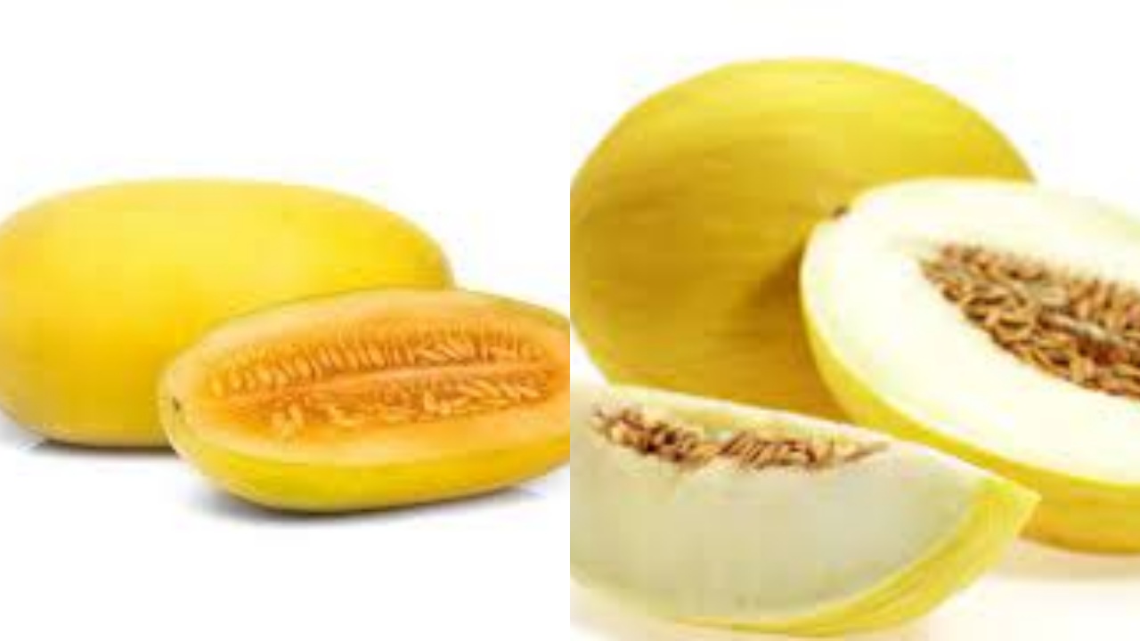 Yuk Ketahui! 8 Manfaat Timun Suri Untuk Kesehatan Tubuh Yang Penting