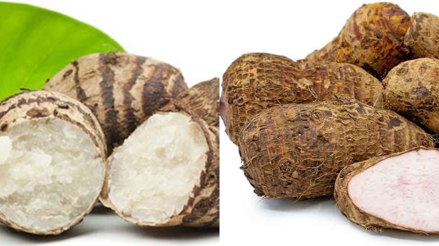 Beragam Manfaat Talas Untuk Kesehatan Yang Perlu Kalian Ketahui! 