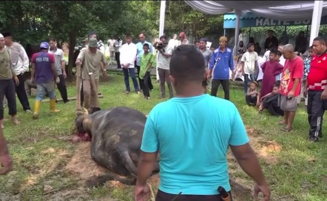Kapolda Sholat Idul Adha 1446 H di Masjid Al-Aman Paakri Palembang, Sembelih 17 Ekor Hewan Qurban 