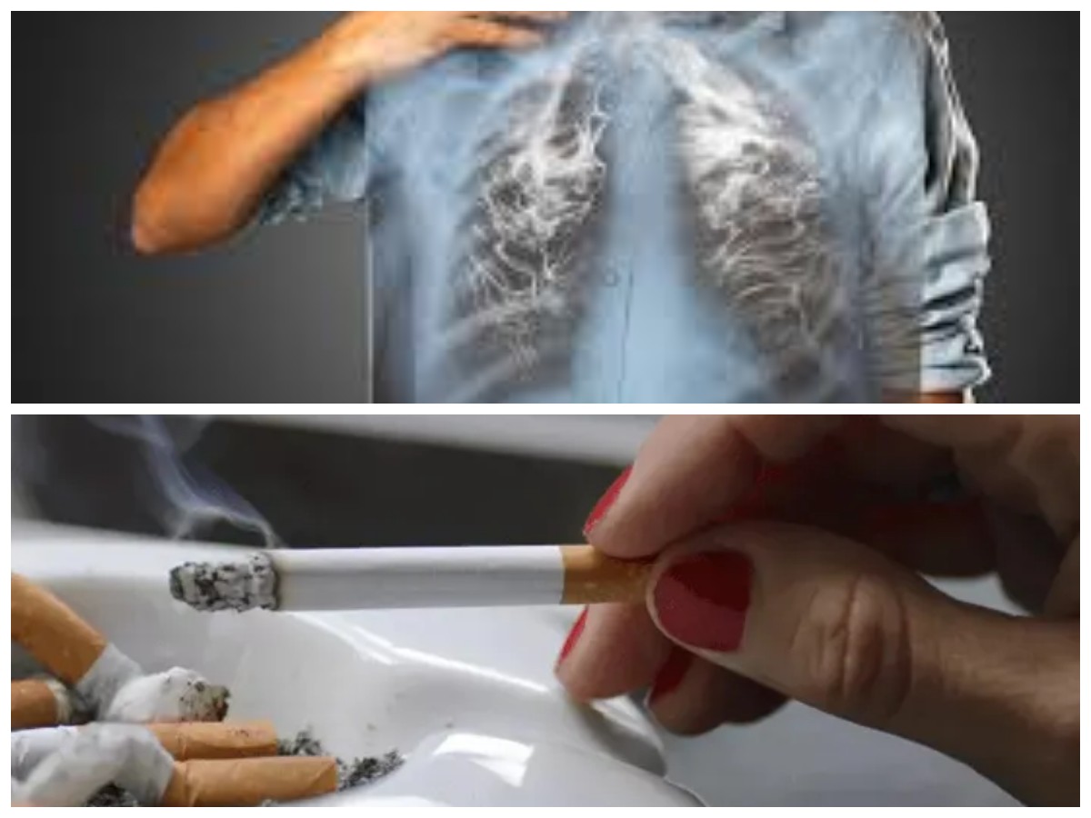 Bahaya di Balik Asap: Ini 10 Efek Merokok yang Merusak Tubuh dari Dalam