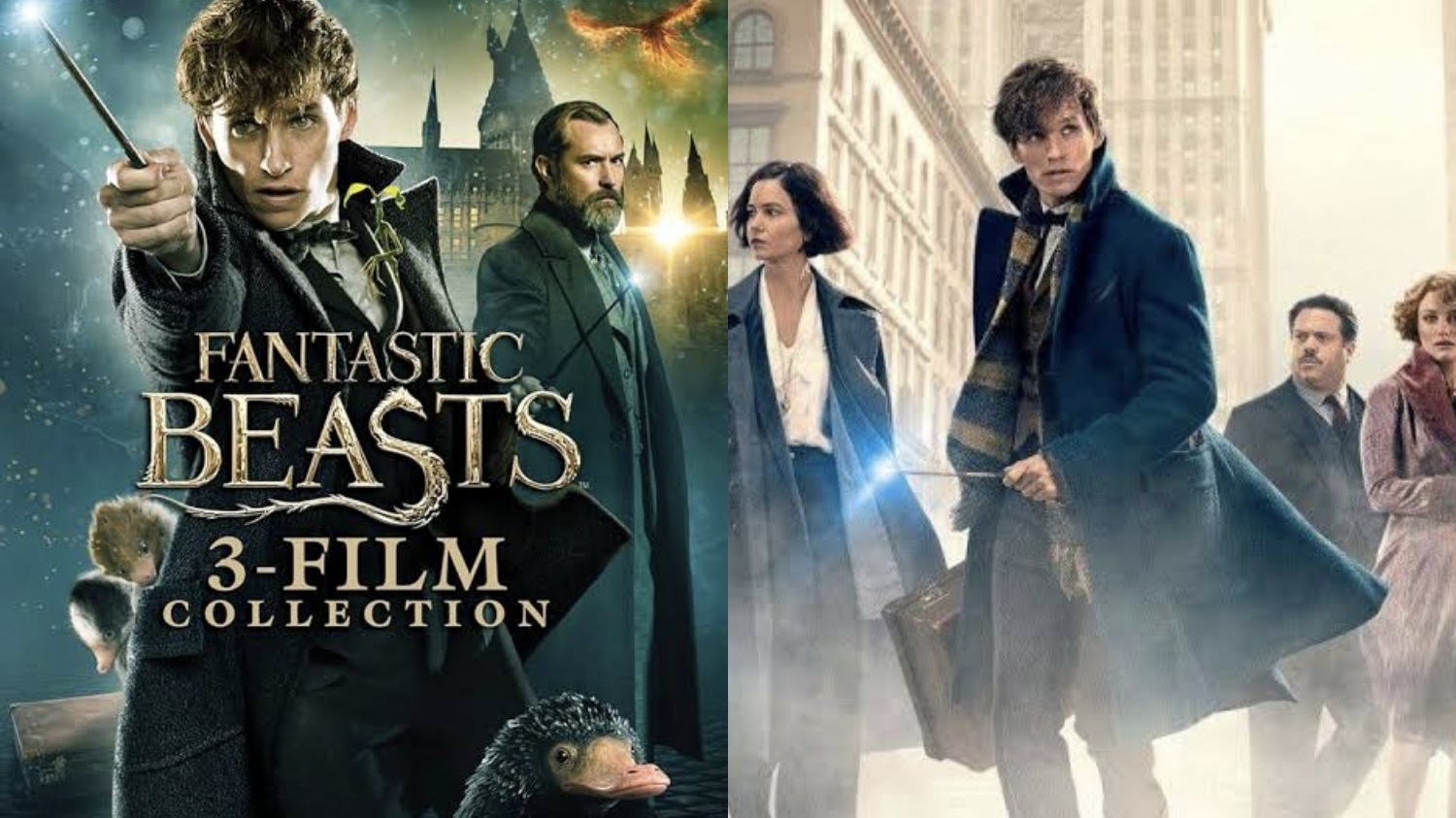 Sinopsis Fantastic Beasts 3, Upaya Dumbledore Kalahkan Grindelwald