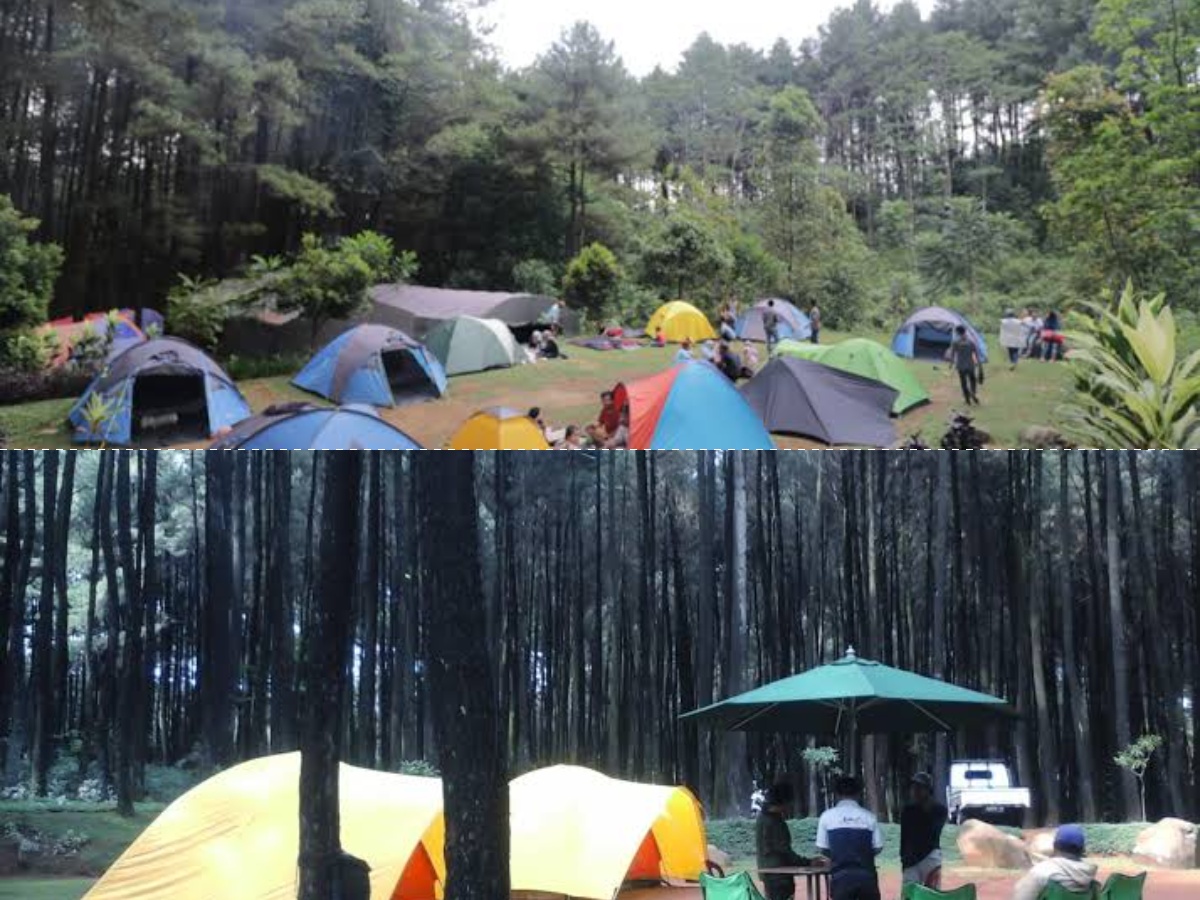 Menempuh Jarak 1 Jam dari Jakarta, Camping Ground Taman Wisata Alam Gunung Pancar Cocok Untuk Healing!