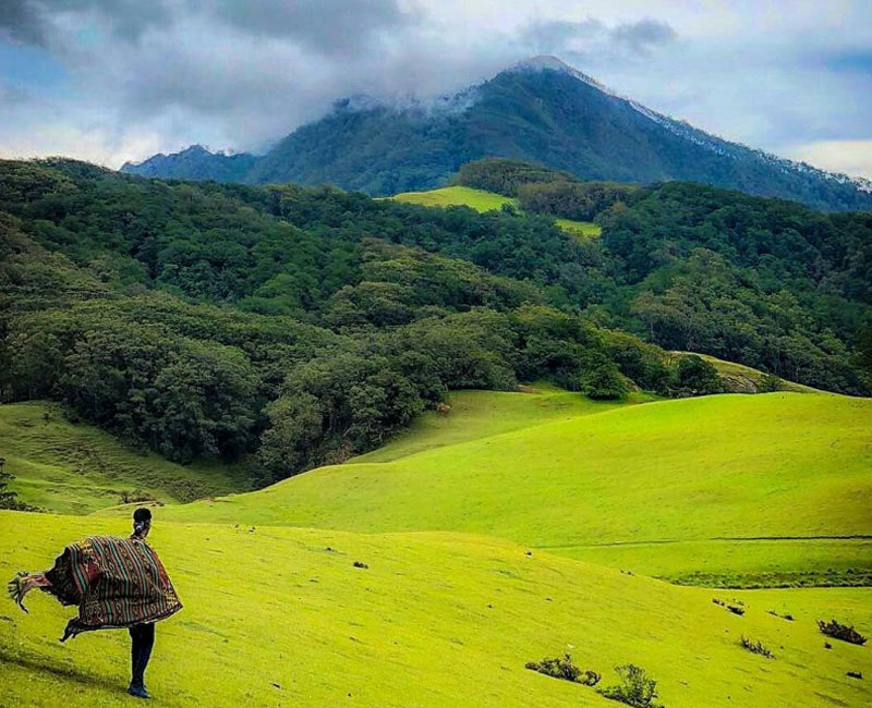 Wisata Gunung Mutis yang Berikan Pesona Alam Spektakuler!