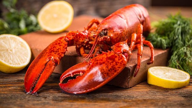 Meningkatkan Imunitas Tubuh, Ini 5 Manfaat Dari Mengonsumsi Lobster! 