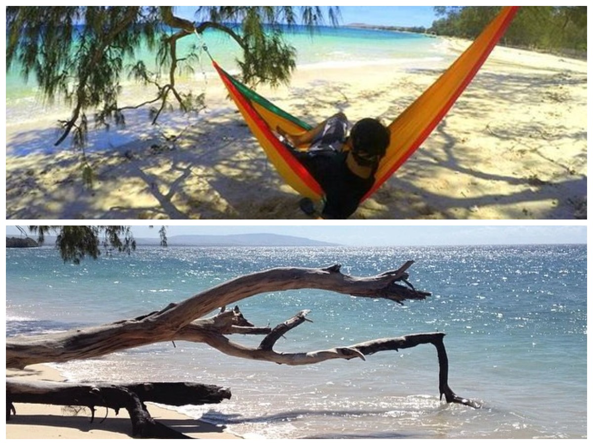 Pesona Pantai Puru Kambera, Surga Pantai di Sumba Timur yang Dihiasi Pohon Cemara