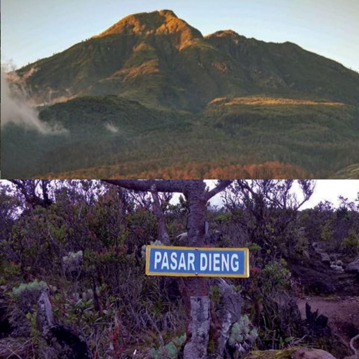 Siap Menguji Nyali? 4 Tempat Angker di Gunung Lawu yang Penuh Misteri!