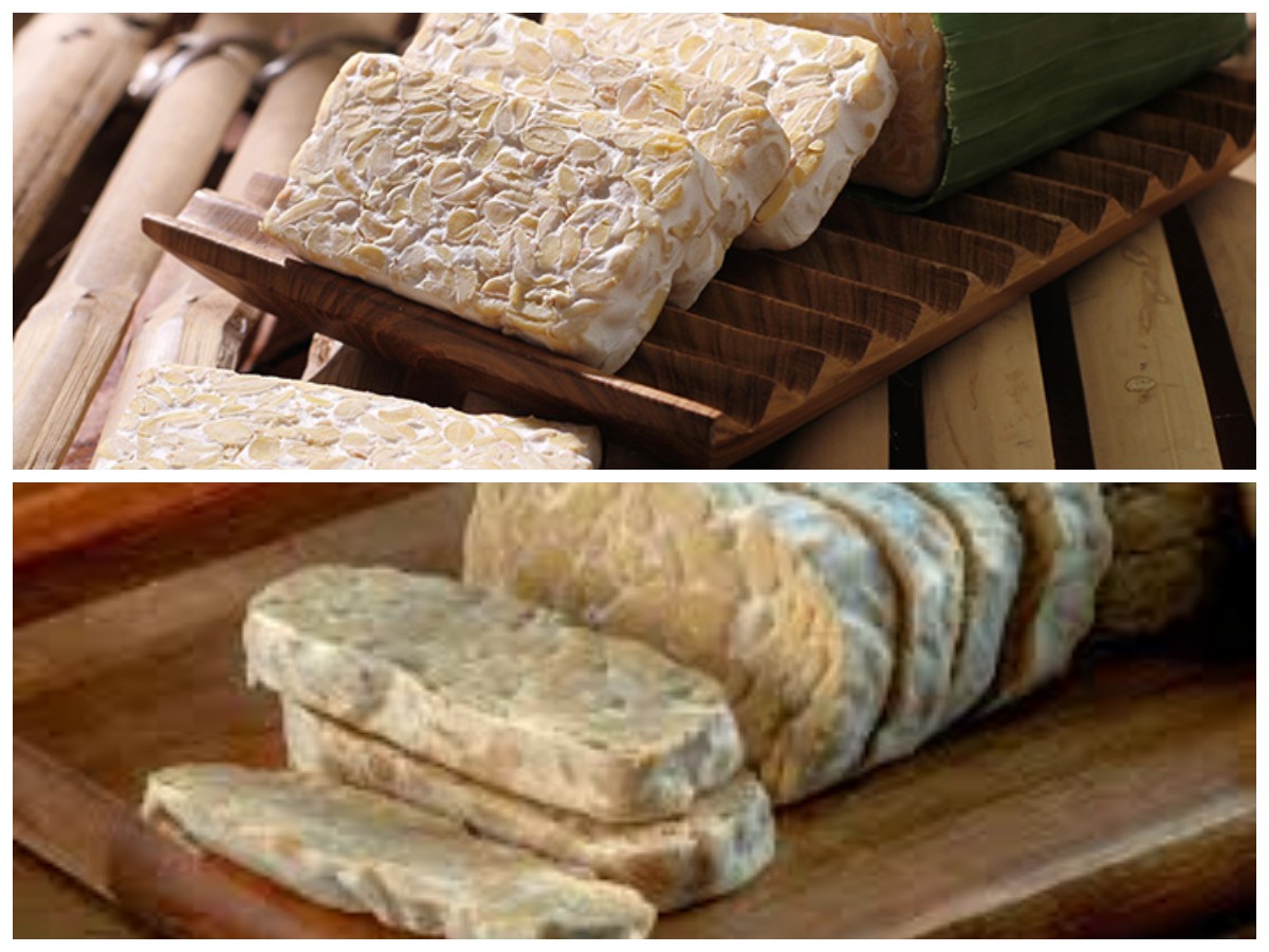 Rahasia Tempe: Khasiat yang Bisa Meningkatkan Kesehatan Tubuh Kamu