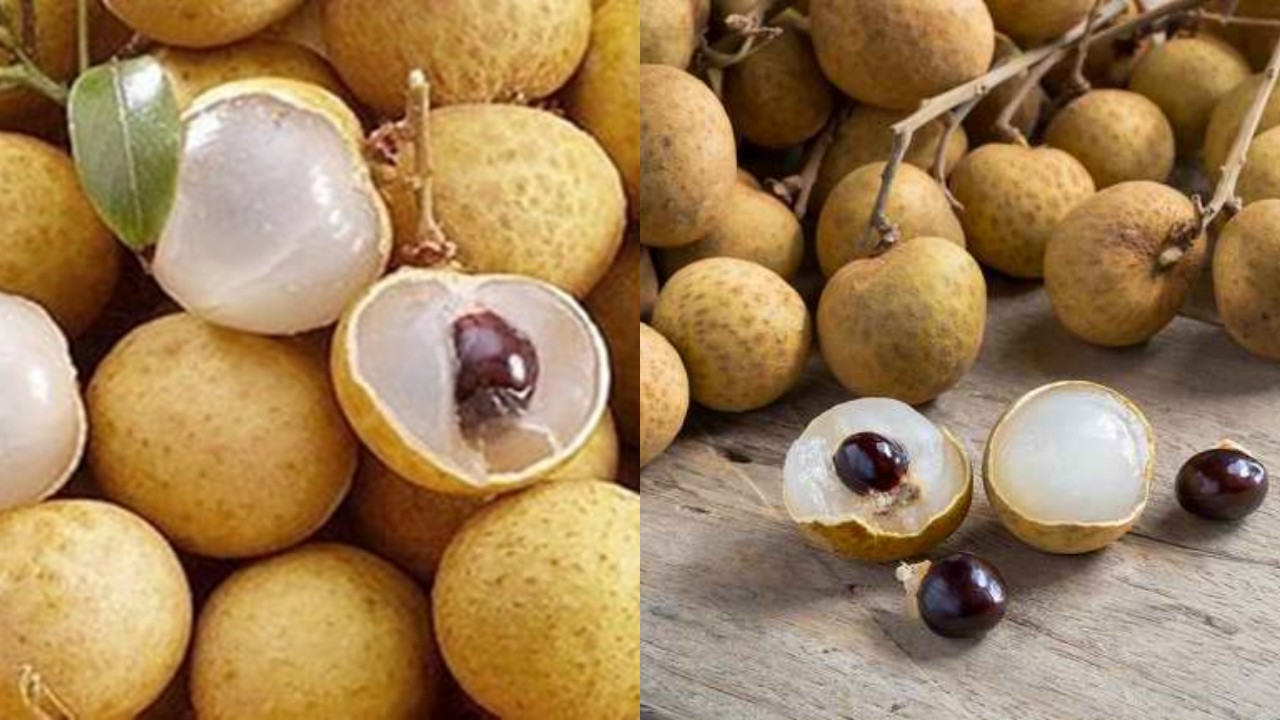 Manfaat Buah Kelengkeng untuk Kesehatan Tubuh, Bikin Segar dan Berenergi!