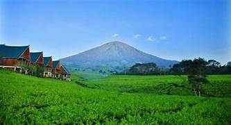 Benarkah Ada Penghuni Gaib Ini di Gunung Dempo Sumatera Selatan! Ini Penjelasannya