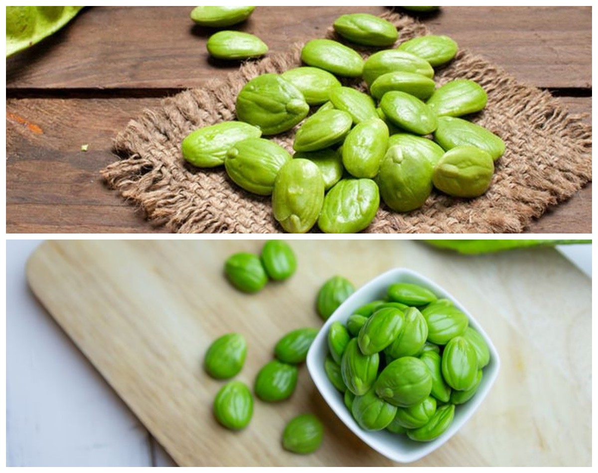 Ini Manfaat Petai Bagi Kesehatan Tubuh Anda: Dari Jantung Sehat hingga Pencernaan Lebih Baik!