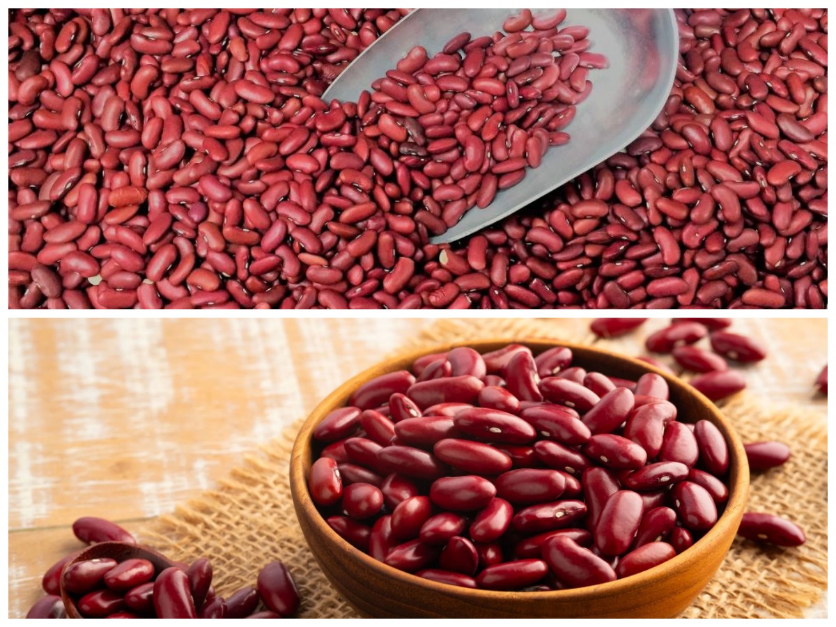Kacang Merah untuk Tubuh Sehat: Dukungan Alami bagi Jantung dan Kadar Gula Stabil