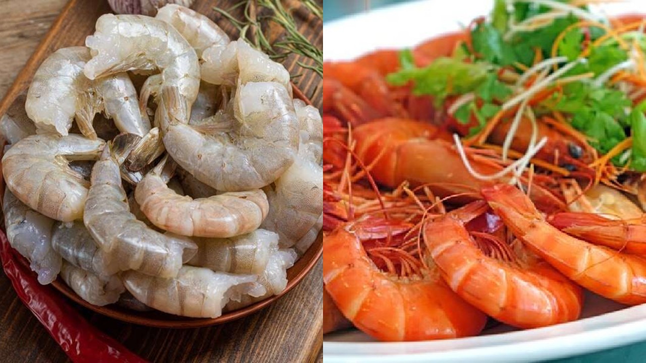 Mengulas Manfaat Udang dan Risiko Konsumsinya bagi Kesehatan Tubuh!