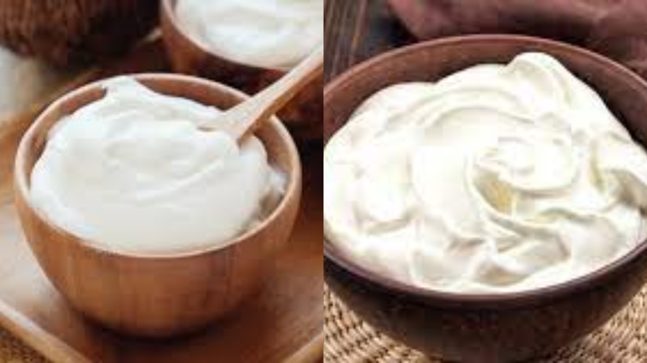 Greek Yoghurt: Camilan Enak Bikin Tubuh Sehat dan Bugar Ini Penjelasanya