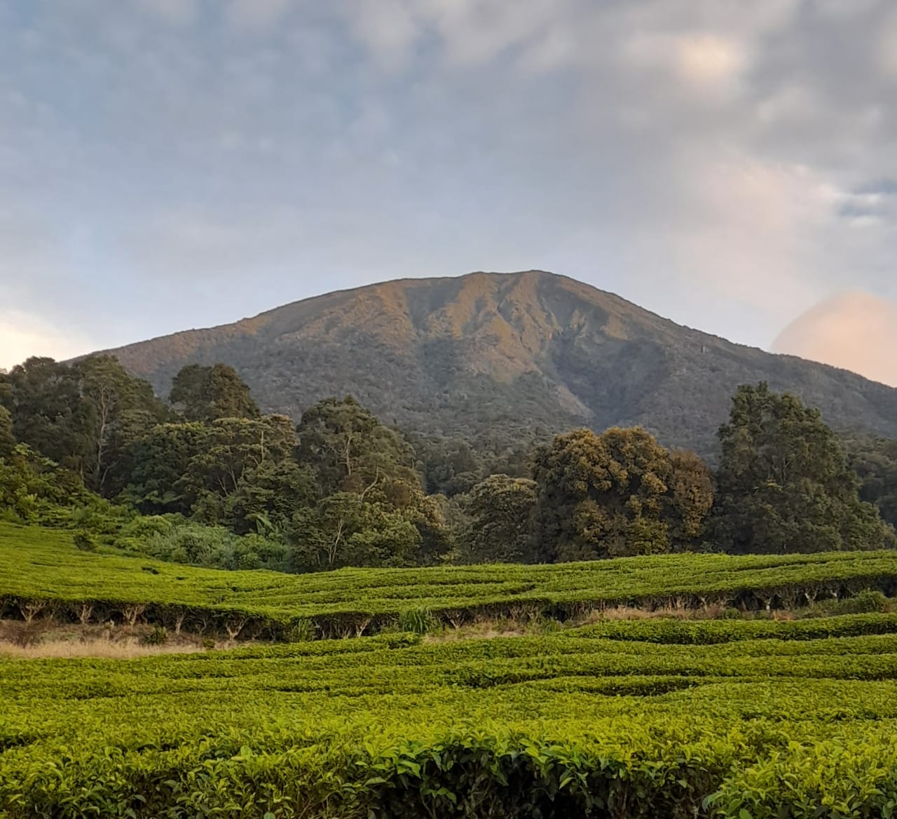 Bingung Cari Tempat Healing? Inilah 5 Gunung Yang Wajib Kamu Kunjungi Saat Berada di Sumatera