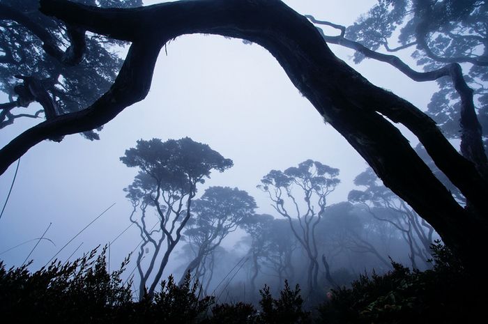 Menelisik Misteri dan Mitos Gunung Singgalang 