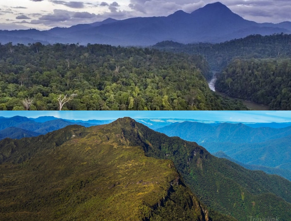 Menelusuri Sejarah dan Misteri Gunung Leuser, Aceh: Keindahan dan Keangkeran di Tanah Sumatra!
