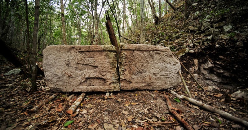Kok Bisa Pencari Rumput Temukan Istana Kuno di Dalam Hutan, Begini Ceritanya! 