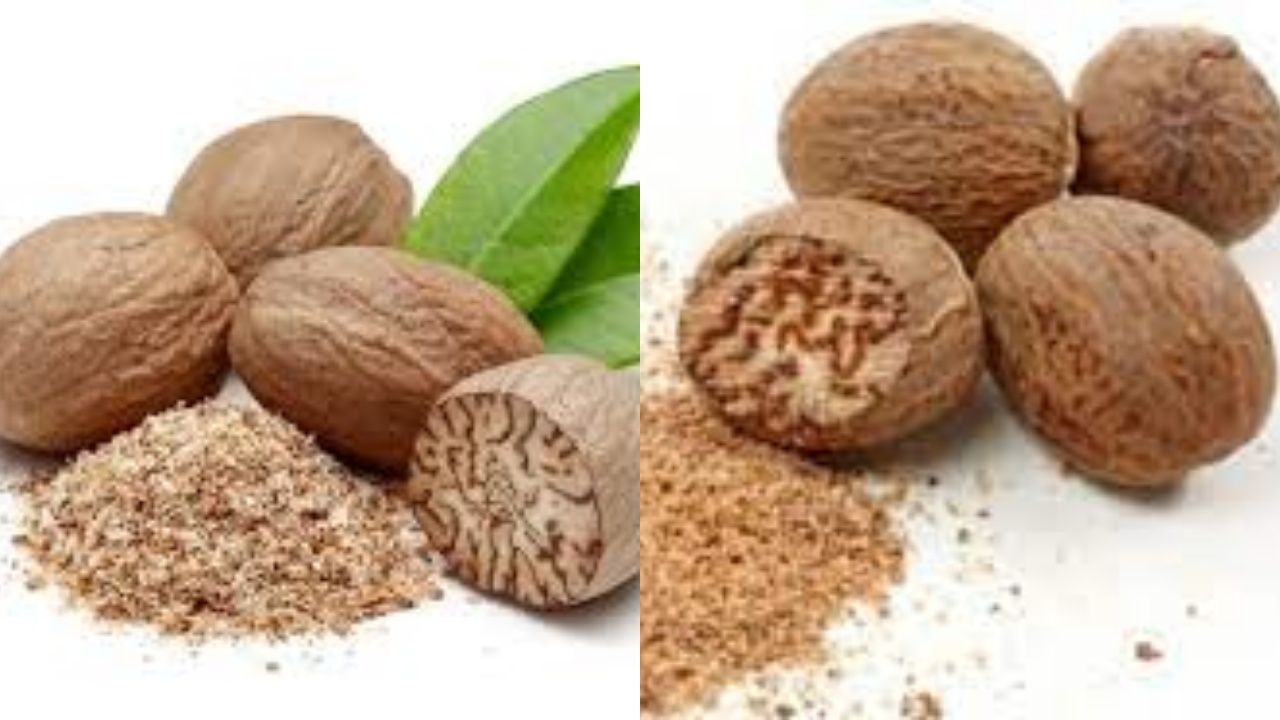 Simak Dan Kenali Kandungan Gizi dan Manfaat Buah Pala untuk Kesehatan Tubuh!