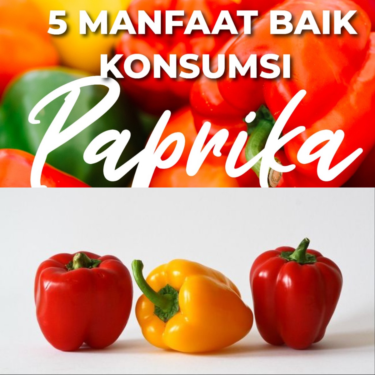 Mau Tahu Rahasia Kesehatan dari Paprika? Ini 5 Manfaatnya yang Wajib Anda Ketahui!