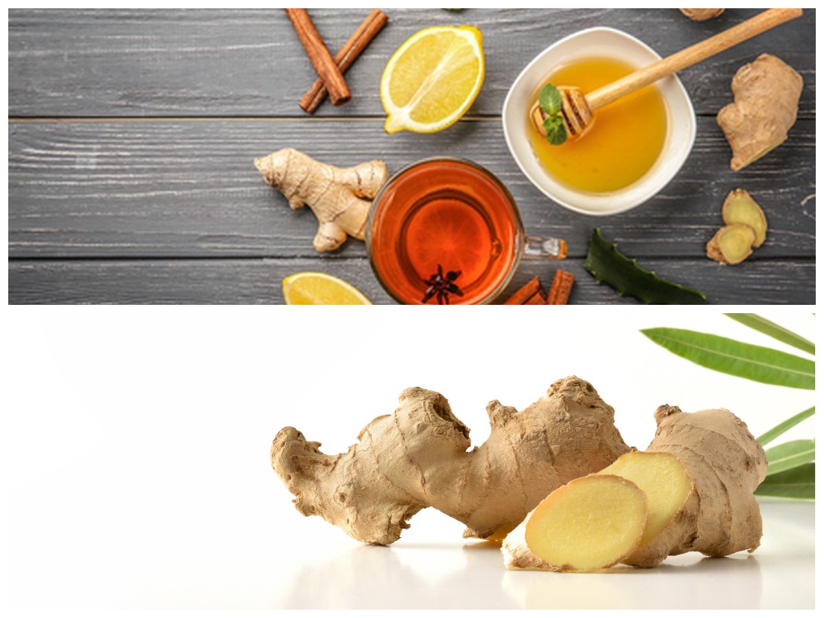 Resep Herbal Tradisional untuk Redakan Batuk dan Pilek dengan Cepat dan Alami