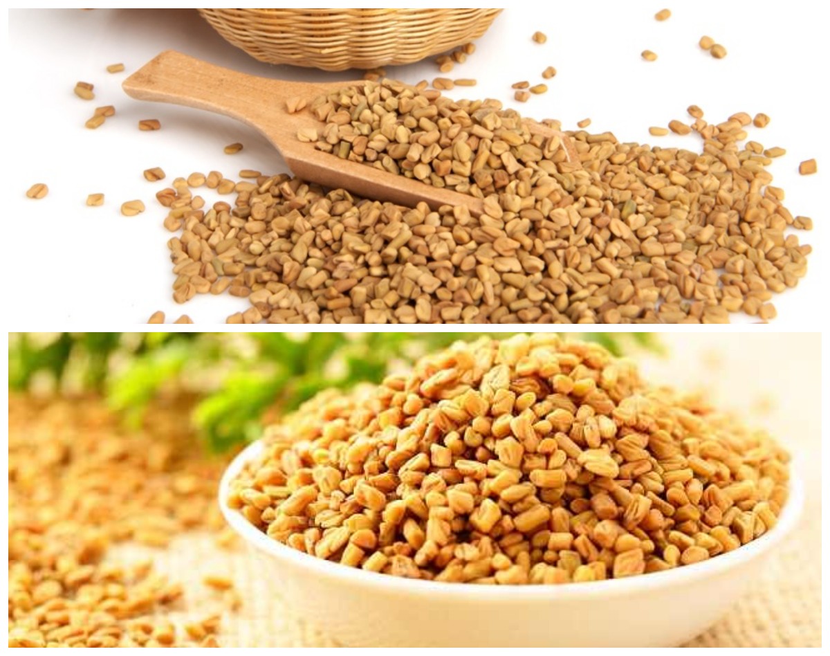Manfaat Inilah Manfaat Fenugreek bagi Kesehatan: Herbal Kecil dengan Khasiat Besar untuk Tubuh!