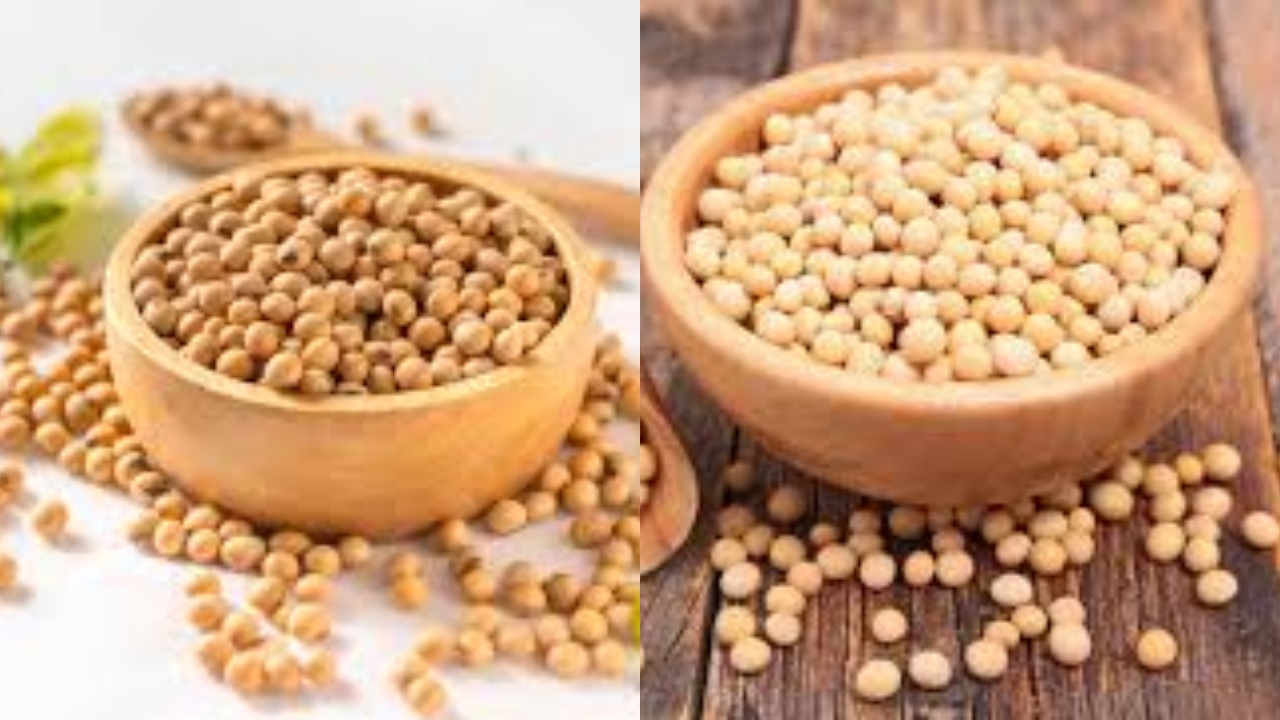 Kandungan Nutrisi dan Manfaat Kedelai untuk Kesehatan Tubuh Yang Harus Kalian Tahu!