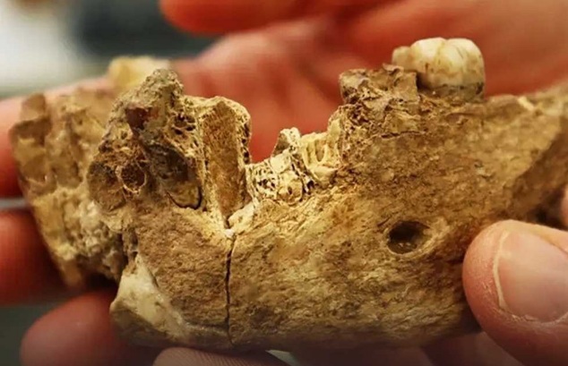 Ditemukan Fosil tak Dikenal di Israel, Benarkah Nenek Moyang Manusia