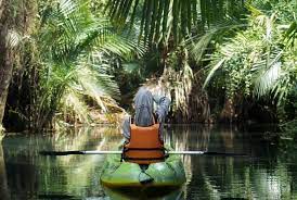 Sungai Amazon Indonesia? Inilah Pesona Alam Sungai Silowo Tuban Yang Lagi Viral! 