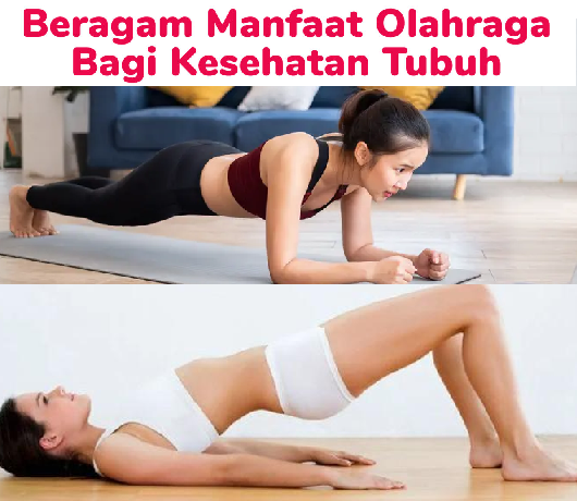 7 Olahraga Ringan Ini Bisa Bikin Kamu Lebih Bugar Tanpa Pergi ke Gym! Nomor 5 Bikin Kaget!