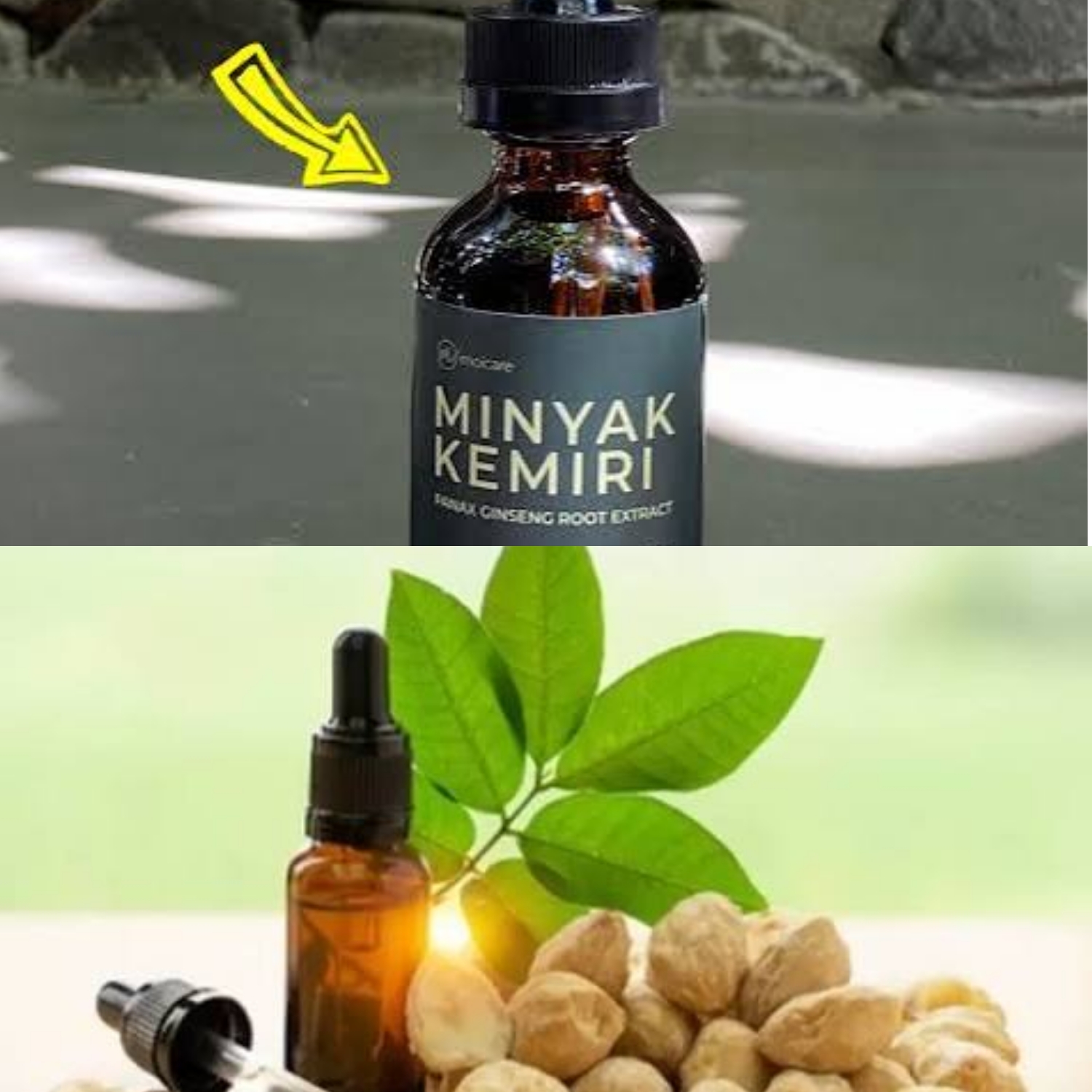 Bukan Sekadar Minyak Biasa! Ini Manfaat Hebat Minyak Kemiri untuk Rambut Lebat dan Sehat