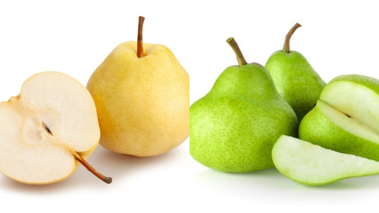 Ternyata Buah Pir Punya Banyak Manfaat untuk Kesehatan, Ini Faktanya!