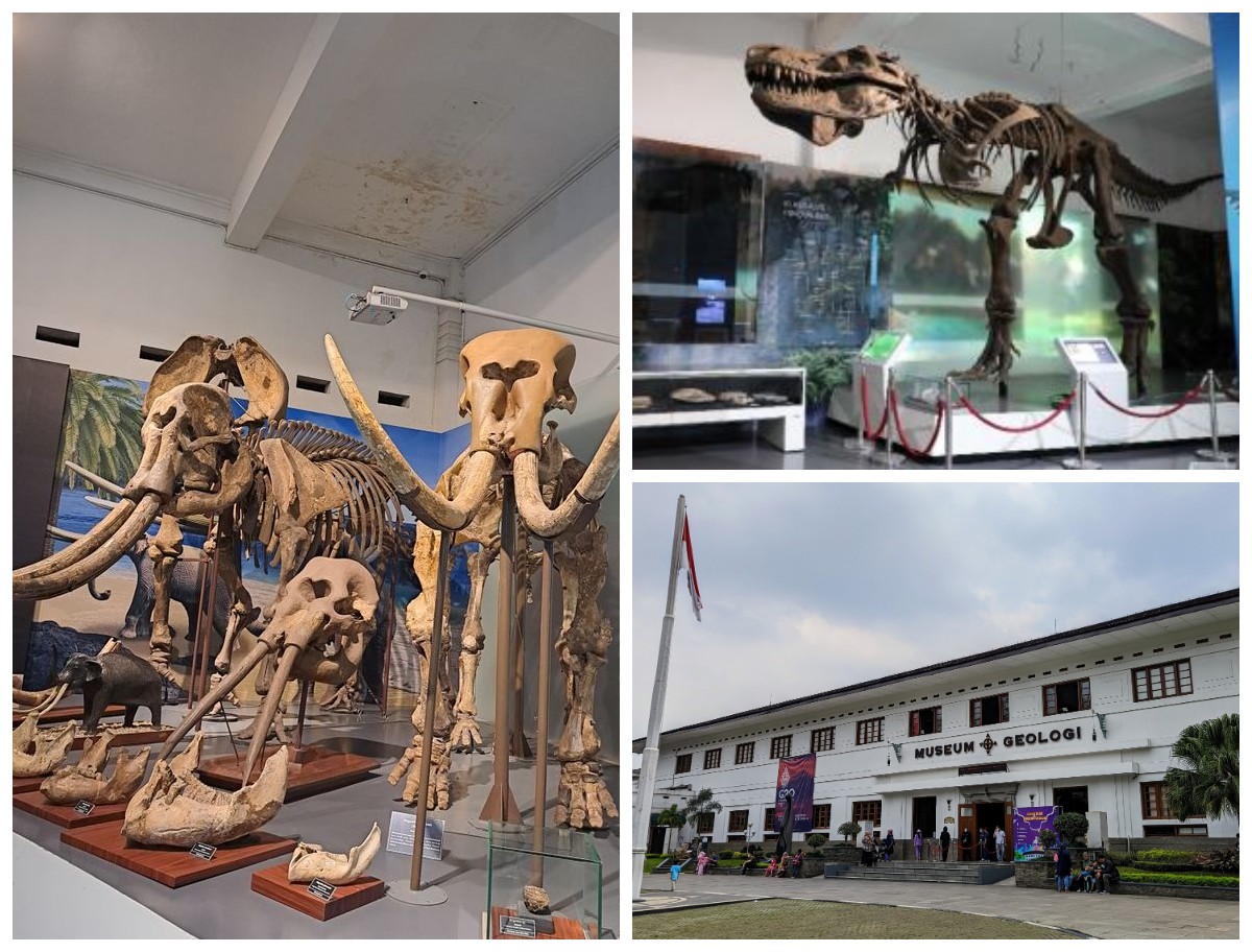 Museum Geologi Bandung: Sejarah, Peran, dan Koleksi Sang Penjaga Jejak Bumi Indonesia!
