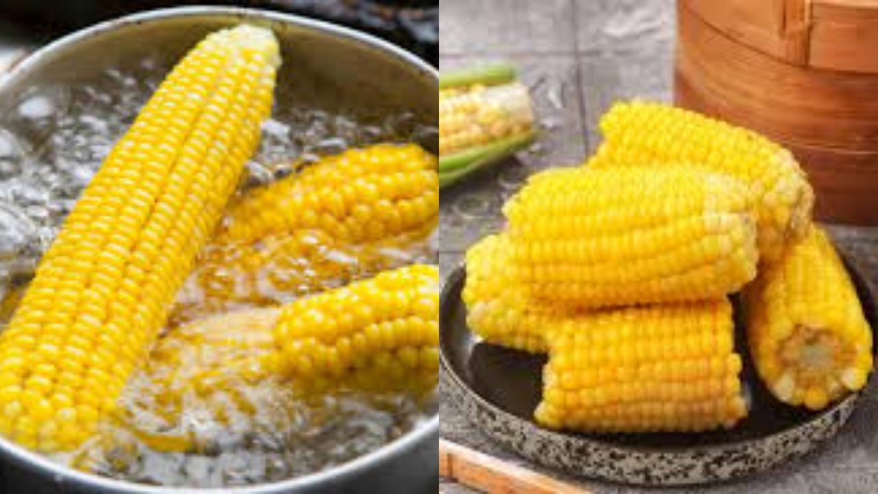 Teryata Ini! Manfaat Jagung Rebus, Menurunkan Gula Darah Sampai Mencegah Katarak