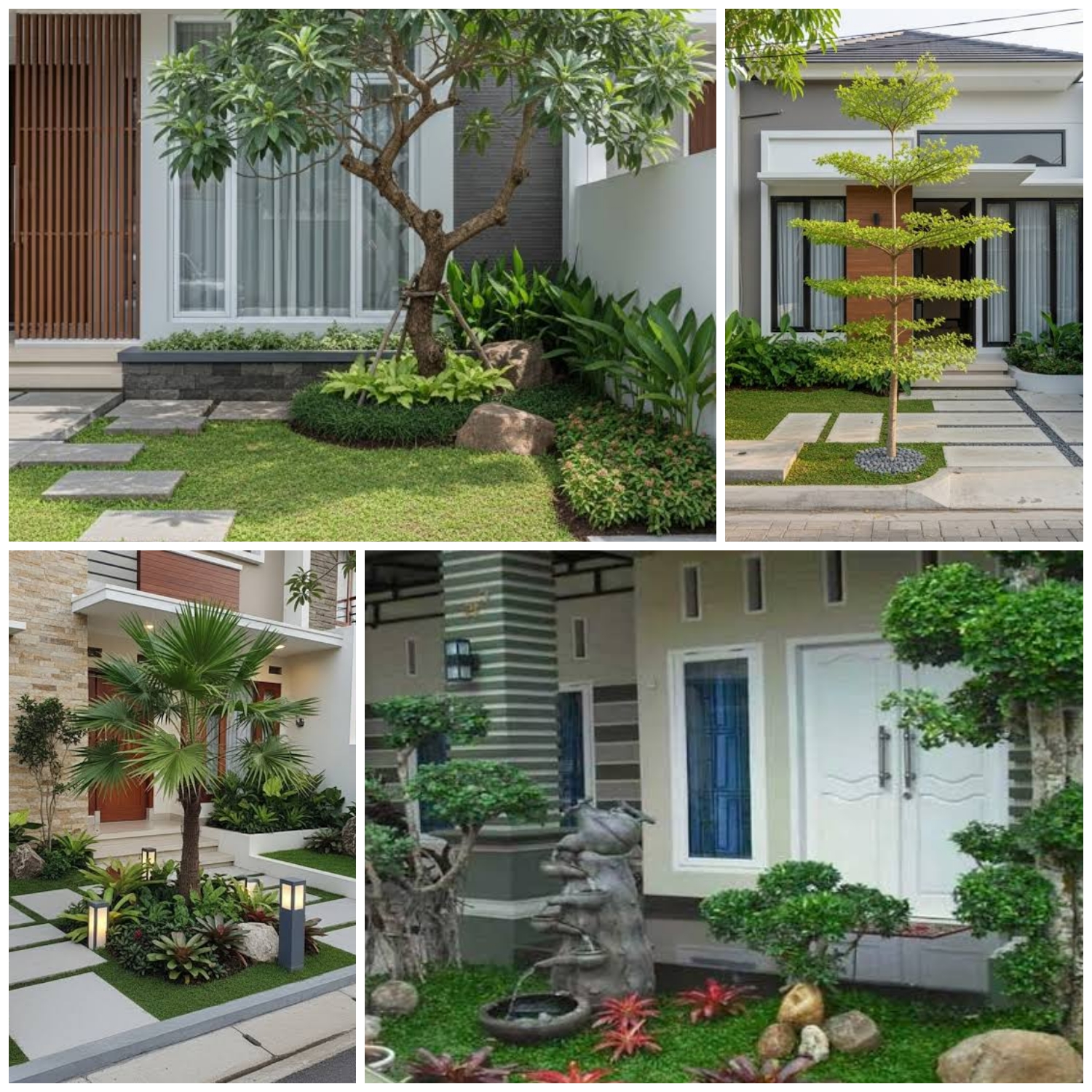 Lahan Sempit Bukan Masalah, 5 Pohon Ini Bikin Taman Rumah Makin Asri