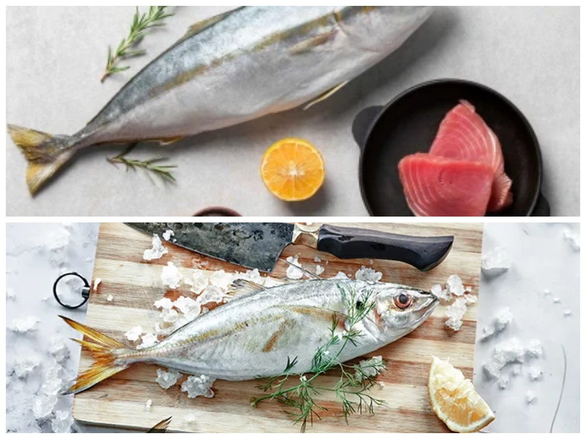 Kaya Gizi dan Omega-3, Inilah 5 Alasan Ikan Tenggiri Baik untuk Kesehatan Anda!