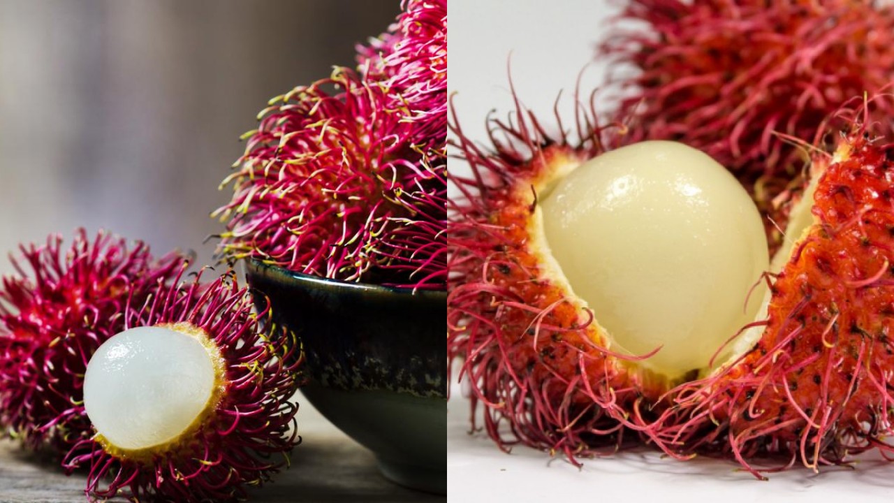 Rambutan: Buah Tropis Manis dengan Beragam Manfaat Kesehatan!