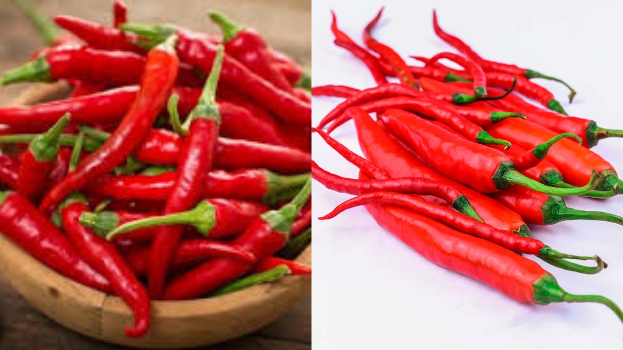 Wajib Tahu 6 Manfaat Cabai untuk Kesehatan Tubuh Yang Luar Biasa!