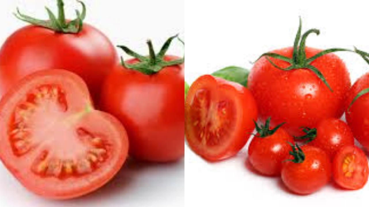  Jarang Diketahui Inilah Manfaat Tomat bagi Kesehatan Tubuh