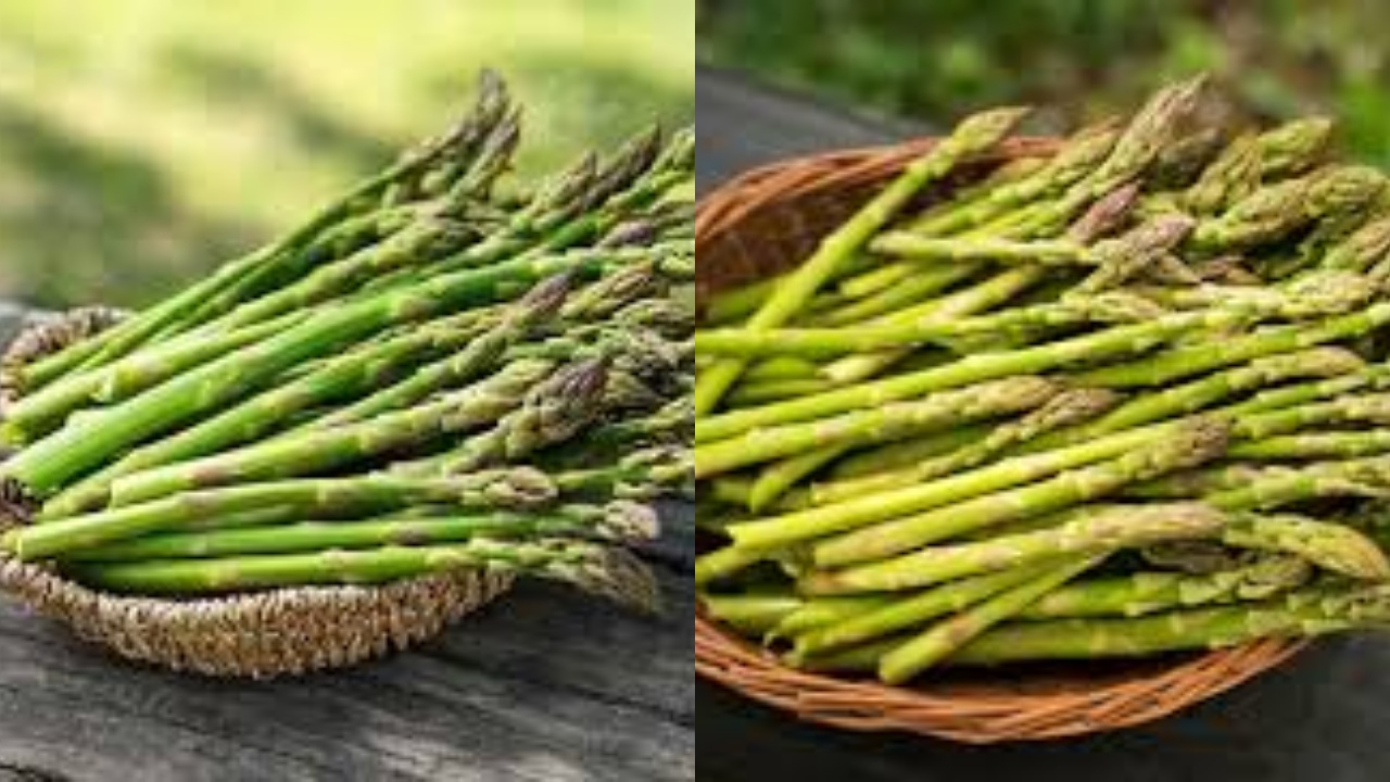 Jarang Diketahui Inilah 7 Manfaat Asparagus Untuk Kesehatan Tubuh!